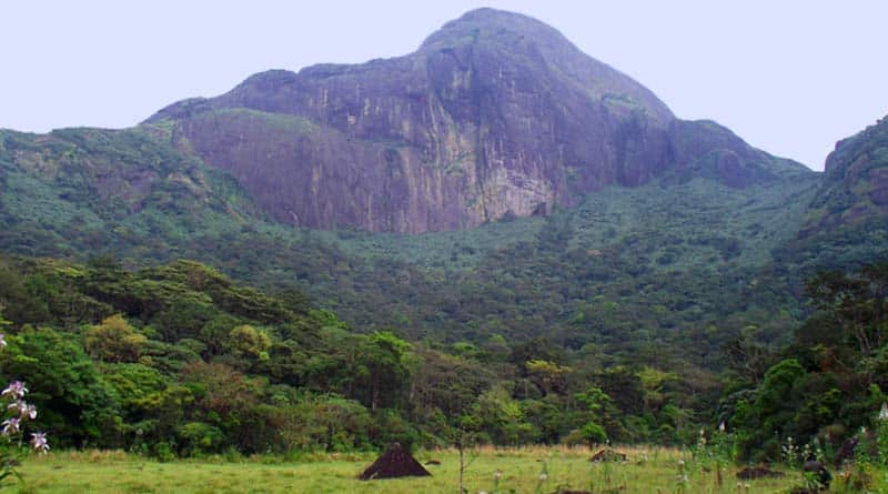  Kerala women trek to Agasthyakoodam peak