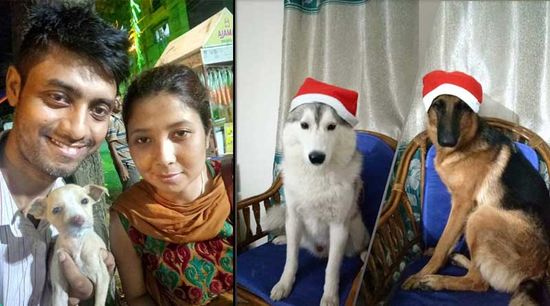 ফ্ল্যাটে কুকুর না রাখার ফতোয়া, প্রতিবাদে মার খেলেন যুবক