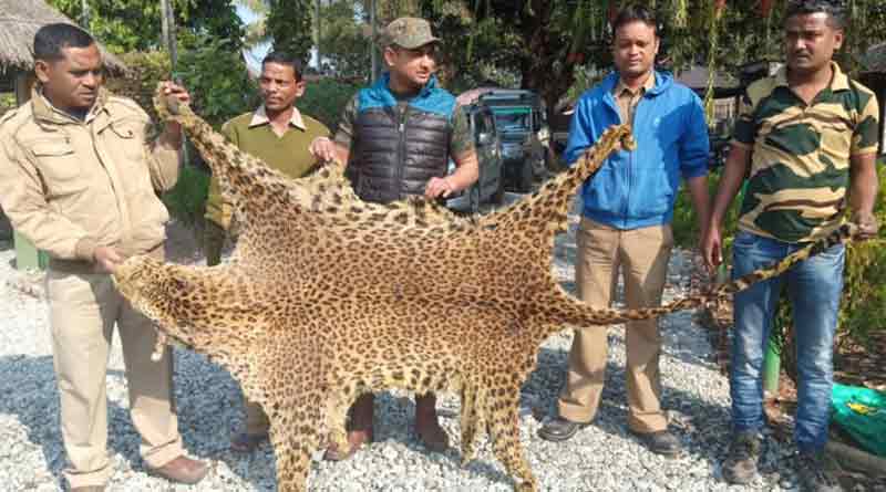 5 held for killing Leopard 