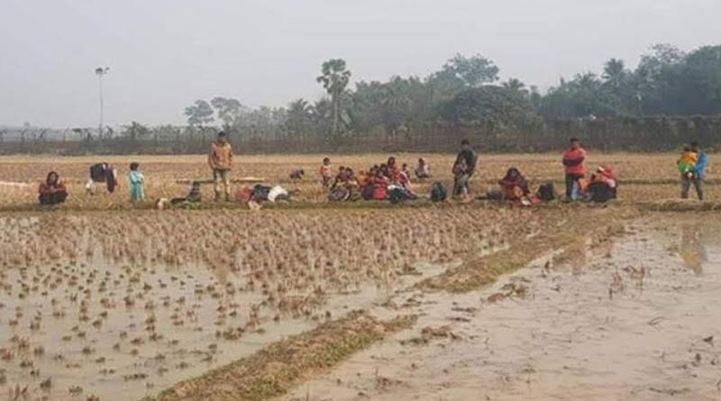 সফল হল না পুশব্যাক, ৩১ জন রোহিঙ্গাকে ফিরিয়ে নিল বিএসএফ