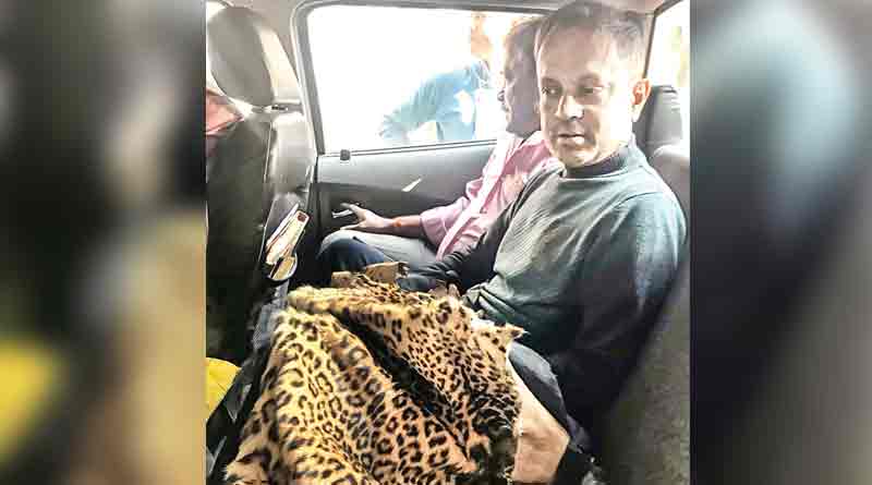 Skin of leopard recovered in city