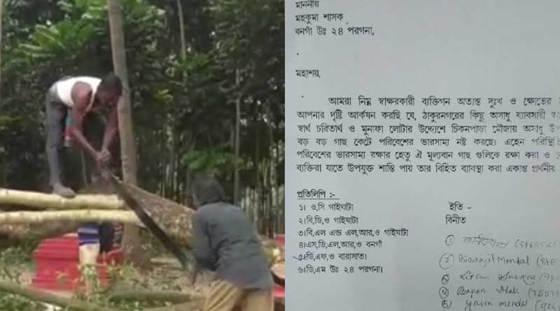 Tree cutting for PM's meeting  
