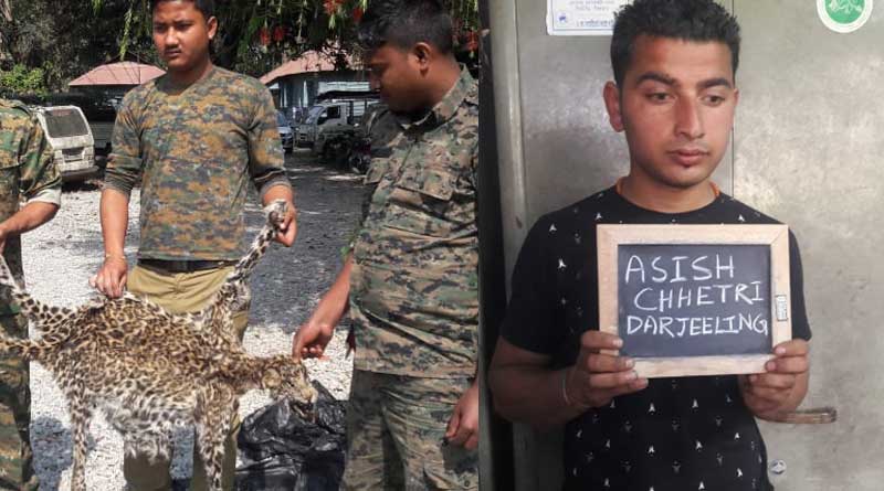 Youth held for trying to sale leopard skin 