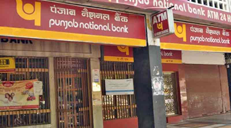 325 Specialist Officer Jobs in PNB