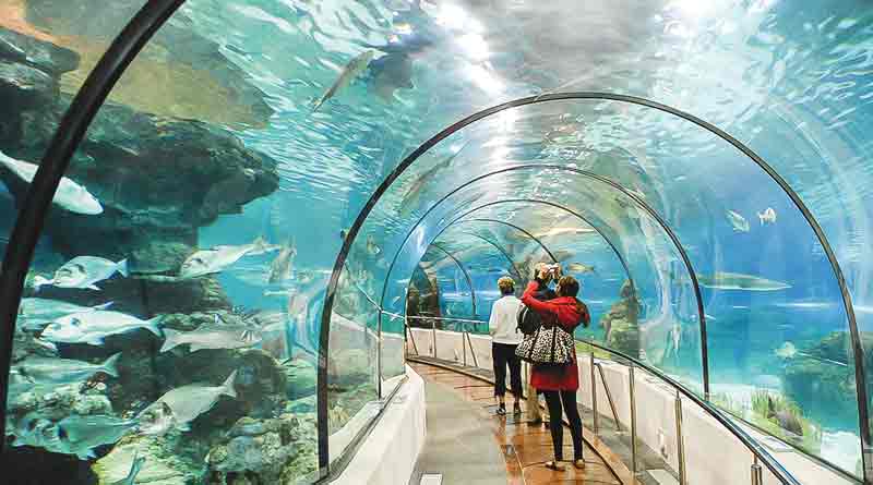Tunnel aquarium in Siliguri