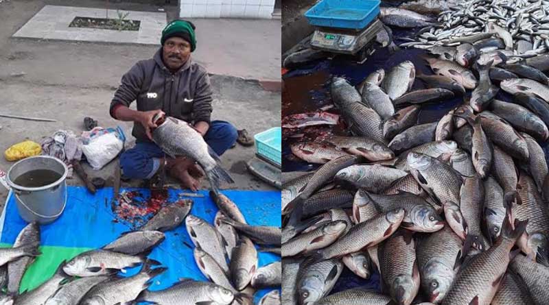 Fish in 'Ghota Sedhho'