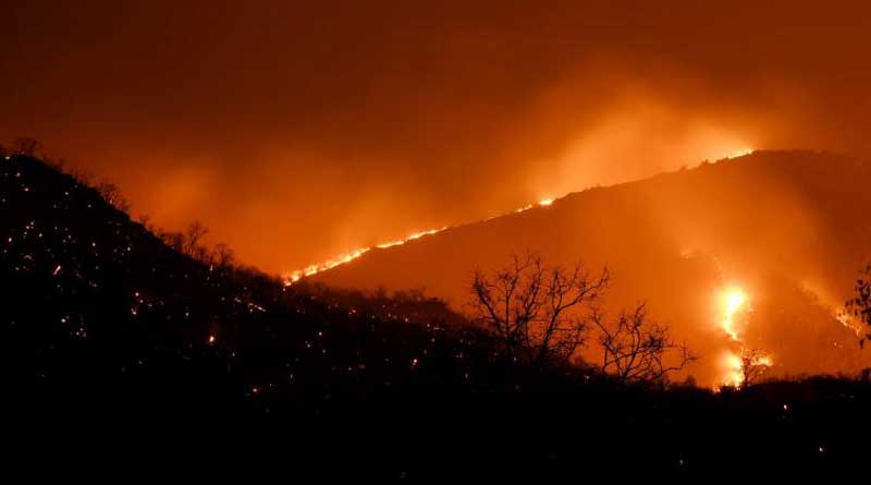  Fire breaks out in  Bandipur reserve forest