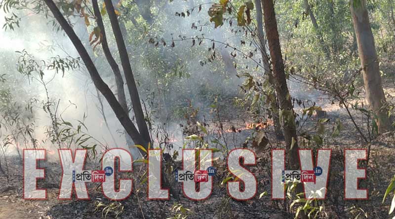 Wild fire rages in Durgapur