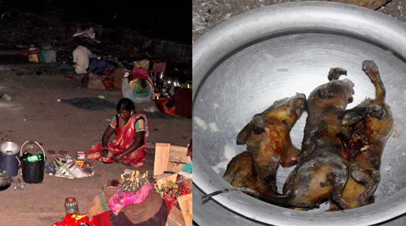 রেললাইনের ধারে কাঠবিড়ালী মেরে চলছে ভোজ, ক্ষুদ্ধ স্থানীয় বাসিন্দারা