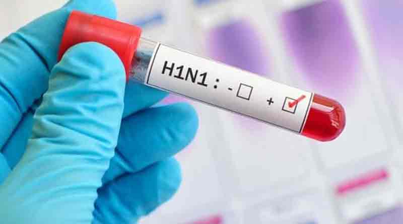 New type of swine flu discovered virus in China which has pandemic potential