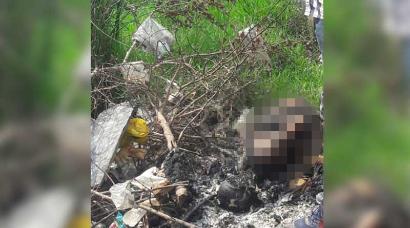 Man burned to death in a dustbin