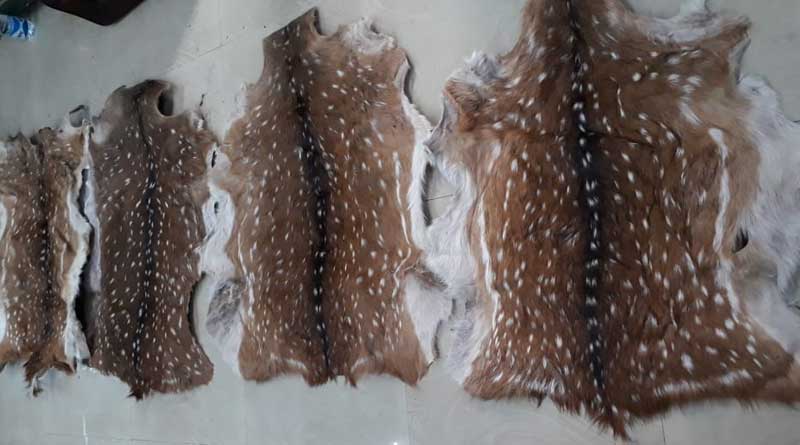 Smugglers held with deer skin in Kolkata