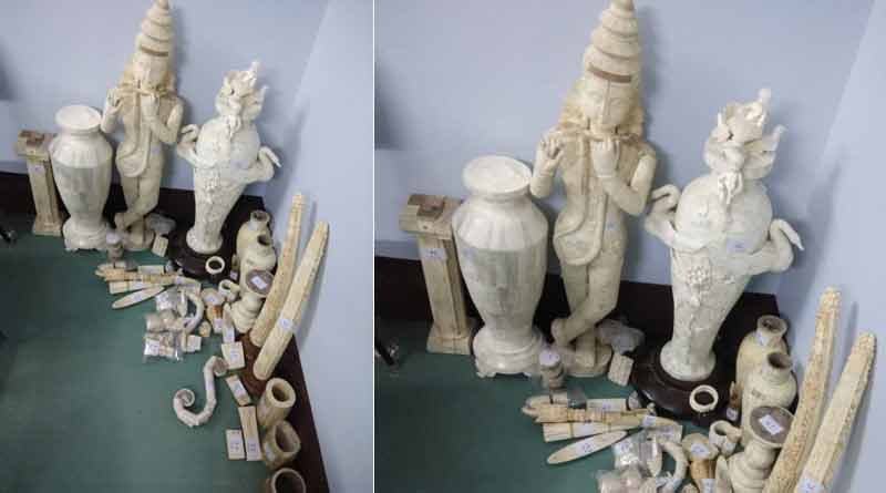 হাতির দাঁতের মূর্তি পাচারকারী বাবা-মেয়ের মূল এজেন্ট ধৃত