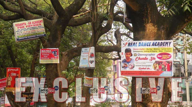 Illegal hoarding on trees in Durgapur