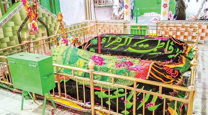 শয়ে শয়ে কাঁকড়া বিছে ঘোরাফেরা করলেও কামড়ায় না, আমরোহার দরগায় ম্যাজিক