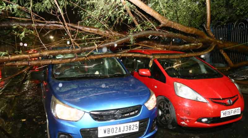 দক্ষিণবঙ্গে ধেয়ে এল কালবৈশাখী, গাছ ভেঙে যানজট কলকাতায়