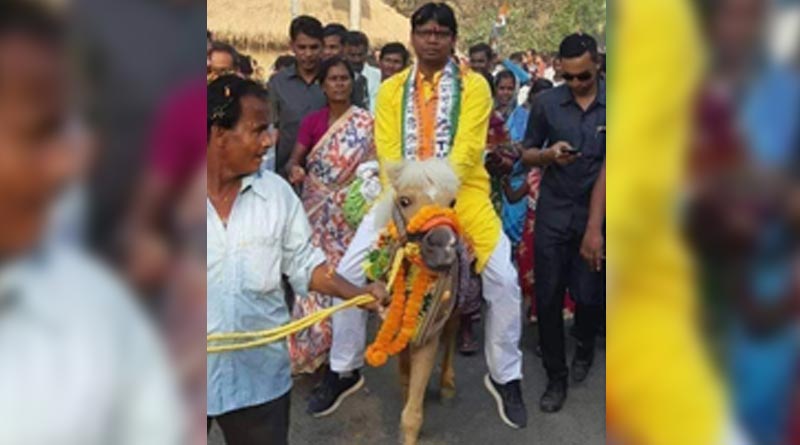খচ্চরের পিঠে চড়ে প্রচার, সোশ্যাল মিডিয়ায় ভাইরাল তৃণমূল প্রার্থীর ছবি