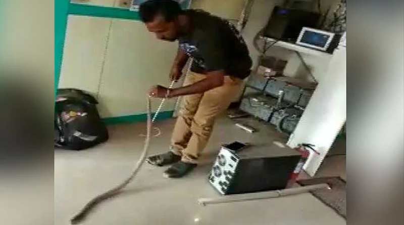 Snake Found Inside Tamil Nadu ATM. Watch Heroic Rescue Video.