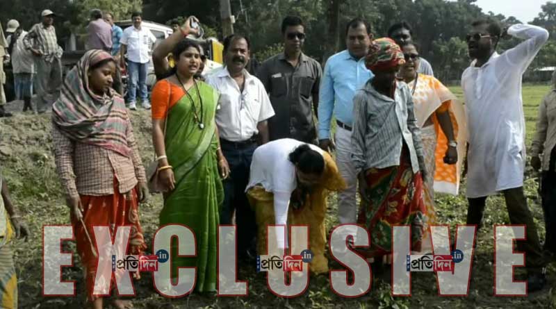 প্রচারের ফাঁকে কৃষি জমিতে নেমে অগাছা পরিষ্কার করলেন মমতাবালা