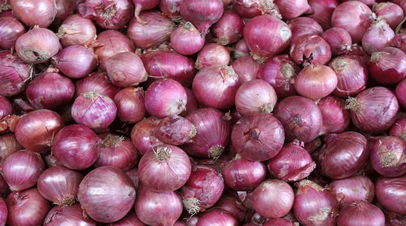 Onion and grape farmers problem are the main issue in Dindori.