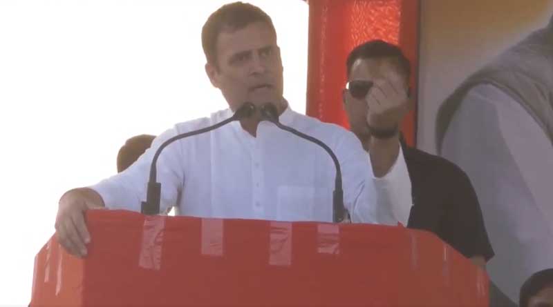 If congress comes to power, Rafale scam will be invetigated: Rahul Gandhi