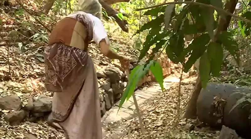 প্রকৃতিকে ভালবেসে বিদ্যুৎ ছাড়াই জীবন কাটাচ্ছেন পুণের অধ্যাপিকা!