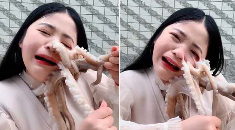 Blogger Tries To Eat Octopus Alive, It Latches Onto Her And Fights Back