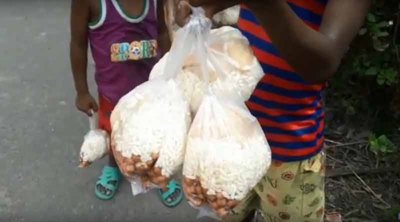 TMC allegedly distributed puff rice to attract voters