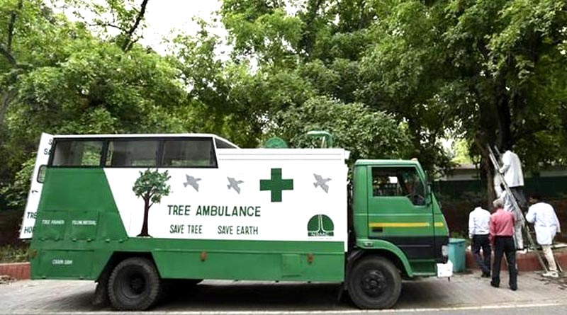 Chennai gets tree ambulance to relocate and revive tress