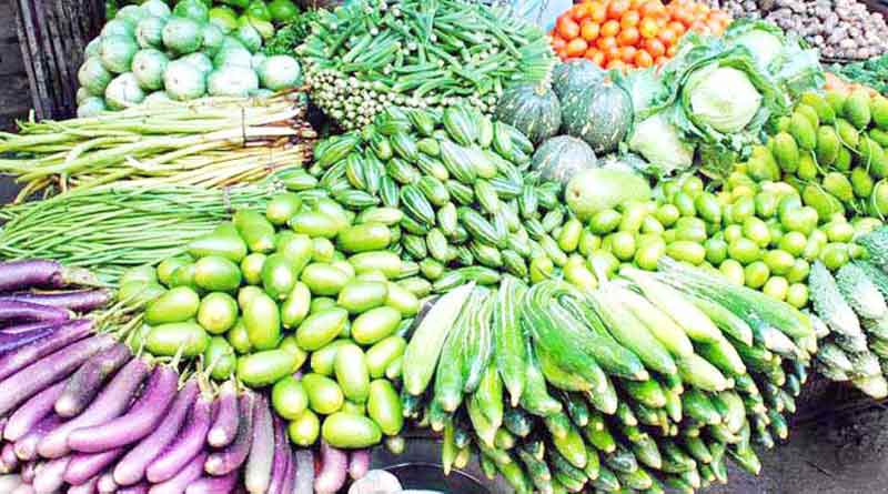 In this sunny season farmers cultivate vegetables for profit