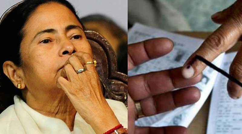 CM Mamata Bannerjee writes a poem on the topic of elction result