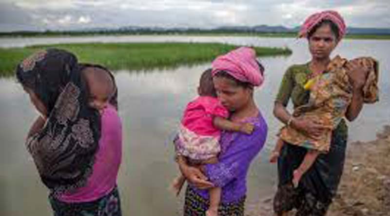 Trafficker targeting Rohingya women, reveals report