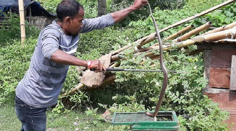 ডিম চোর কে? মুরগির ঘরে খুঁজতে গিয়ে তাজ্জব এলাকাবাসী