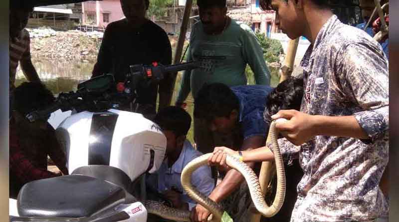 বাইকের ভিতরে আশ্রয় নিল ‘ফণী’! এলাকায় তীব্র চাঞ্চল্য