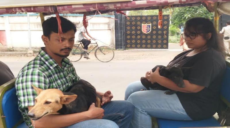 এনআরএস হাসপাতালের কুকুরনিধনের ছায়া বীরভূমে, বিষক্রিয়ায় মৃত্যু ২টি সারমেয়র