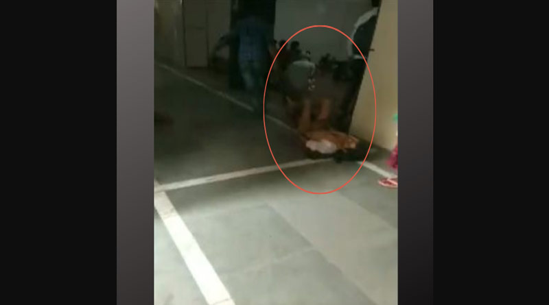 ট্রলির অভাব, চাদরে শুইয়ে মেঝেতে টানতে টানতে এক্স-রে রুমে পৌঁছল রোগী