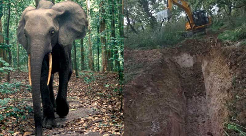 Elephant proof trench is going to be made by forest division, Purulia