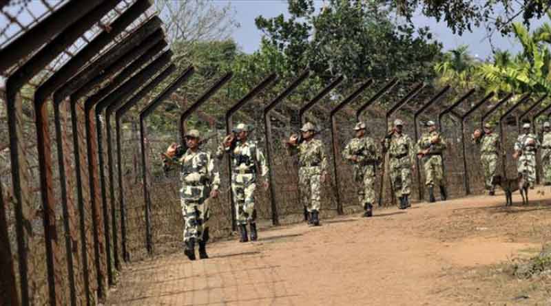 Border Security Force (BSF) is inviting application for 317 posts