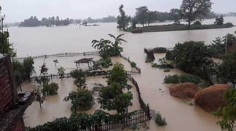 ভয়াবহ বন্যায় ভাসছে বিহার, মৃতের সংখ্যা বেড়ে ৬৭