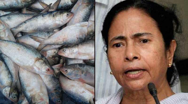 ‘বাংলাদেশের দরকার নেই, গোটা বিশ্বকে ইলিশ খাওয়াবে বাংলাই’, দাবি মমতার