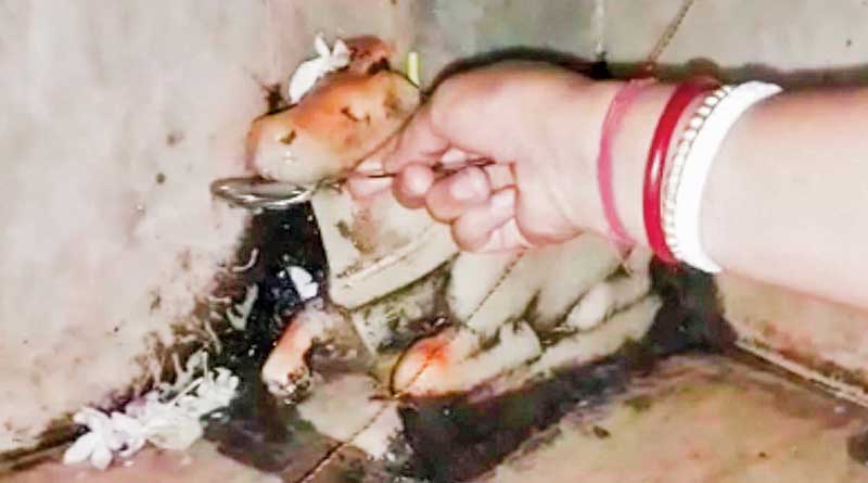 জল খাচ্ছে শিবের বাহন! শোরগোল পুরুলিয়ায়