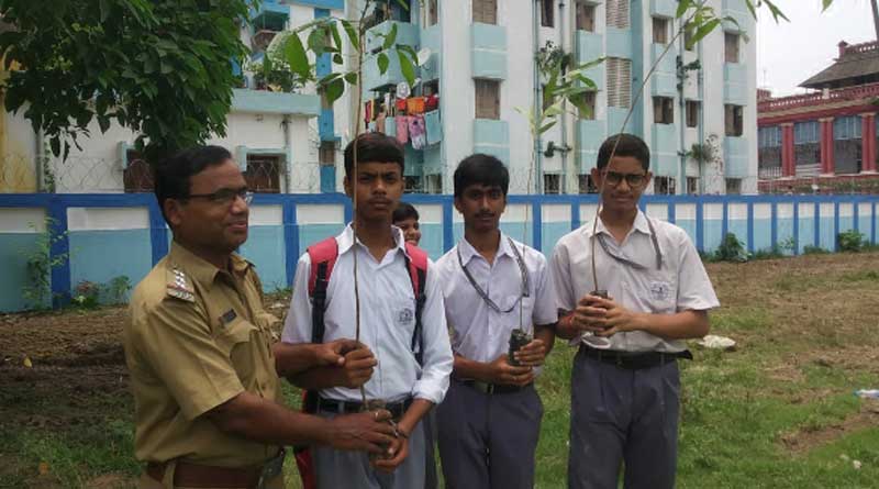 অভিনব উদ্যোগ, বাড়ি বাড়ি গিয়ে চারাগাছ বিতরণের সিদ্ধান্ত বনদপ্তরের