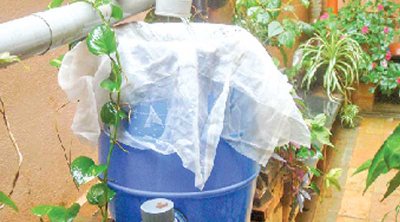 Know some easy stapes to harvest rainwater in home