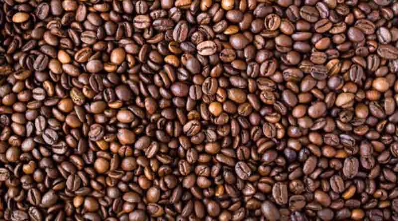 GTA stands with Kalimpong's farmers for coffee cultivation