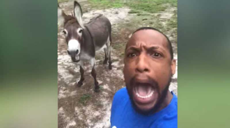 A Man And His Donkey Sing 'Circle Of Life'. Duet Will Leave You In Splits