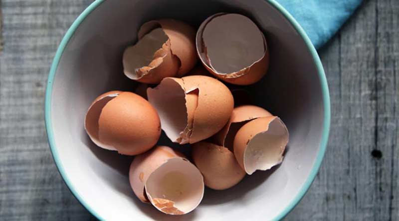 Useful things to do with eggshells, Here are some tips for you