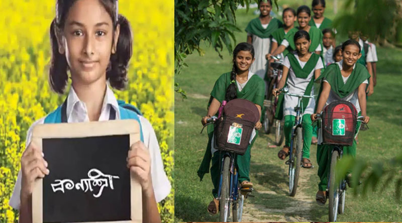 গাছগাছালি ঘেরা পার্কে সরকারি প্রকল্পের প্রচার, অভিনব উদ্যোগ পুরুলিয়া জেলা প্রশাসনের