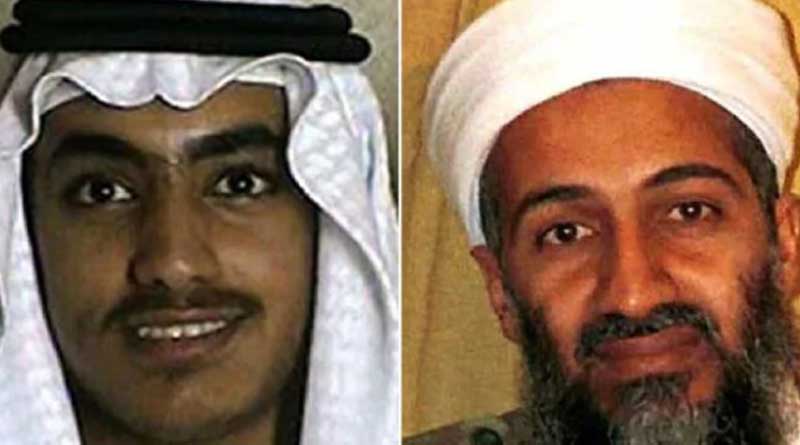 Hamza Bin Laden son of Osama 'killed in air strike'