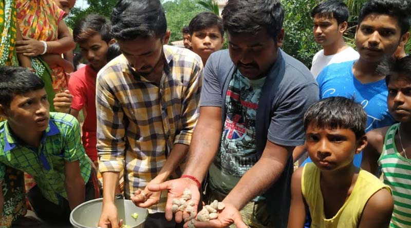 অঙ্গনওয়াড়ি কেন্দ্রের পড়ুয়াদের খাবারে পোকাধরা সোয়াবিন, উত্তেজনা ভাতারে