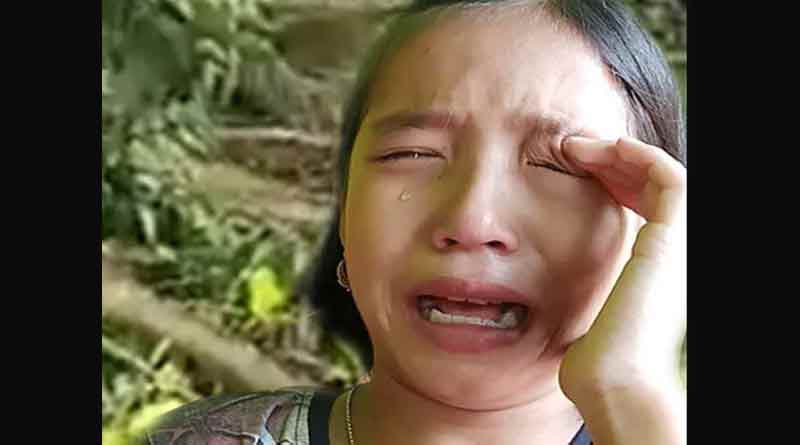 ‘গাছ কেটো না প্লিজ’, কান্নামাখা চোখে কাতর আর্তি খুদের